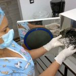 esterilizacion-vilmore